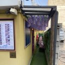 용산-334 | 이국적인 분위기의 '쏭타이치앙마이' 왕갈비 쌀국수, 팟타이 후기(용산 쌀국수 맛집)