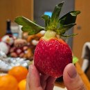 제주 롯데리조트 아트빌라스 히노끼탕이 있는 켄고쿠마 74평 숙박,부대시설 이용후기