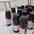 세븐테라피 이미지