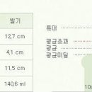한국 남성의 평균 성기 길이 이미지