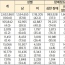 내부기관 장애인 ‘의료비 부담·정책지원 부족’ 이중고 이미지