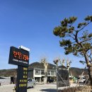 도안로 | (경북 의성) 재방문의사 100% 단밀오토캠핑장 방문 후기