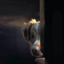 pet48나5009 이미지