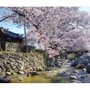 거창-거창-4 이미지