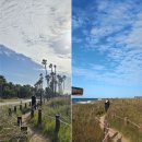 자운당 | [애월 펜션] 제주 애견동반숙소 애월더펜션