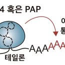 수정수진2-D-1 클리앙 새로운소식