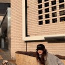 바른반려견센터 이미지