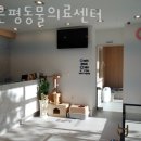 새은평동물의료센터 이미지