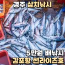 썬 라이즈 | 경주 삼치낚시 5만원 배낚시 전촌항 썬라이즈호