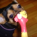 산이랑 바다 이미지