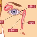 쌀쌀한 날씨에 시도 때도 없이 눈물 나면 &#39;이 병&#39; 의심 이미지