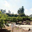 바티하우스 이미지