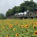 금산천 이미지