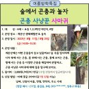 8.11(금)여름방학특집 숲에서 곤충과 놀자(사마귀)_오후2시_6세~초등123학년 어린이 이미지