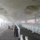 마니시스템 이미지