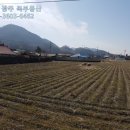 장성공인중개사사무소 이미지