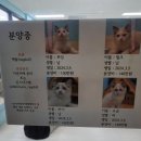 솔빈마루 이미지