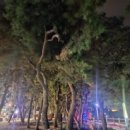 비체 펜션 이미지