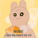 시월의밀