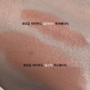 콰티 립스틱 메이크업 후기 - 마이무드 립스틱 무드...무드립라이너 마이누드 / 더글라스타투틴트 비프레클