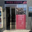 꽁냥꽁냥캣 | [방문] 고양이 카페에서 냥이랑 놀기