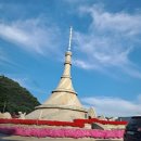 화천군농업기술센터 소강당 | 강원도 출장에서 배우다. 양파밭에서 피어난 생각들