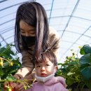 봄이네농장 이미지