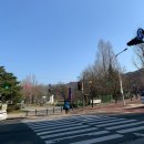 광교산 성복동 등산로 | 수원 | 광교산 등산 :: 광교저수지 형제봉 경기대 하산 코스, 소요시간, 맛집