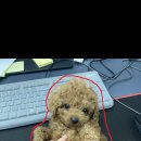 운천갤러리 이미지