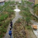 광주효덕초등학교 이미지