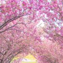 만수노인복지원 이미지