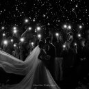 로터스블랑 이미지