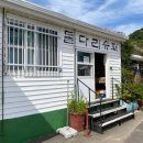 [안도마을]방풍나물 네이버블로그