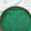 브론테X켄트로얄 빅토리아W 야채치약과 고불소 자스민치약 사용 후기