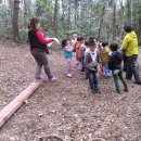 바다유치원 이미지