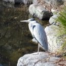 연못식당 이미지