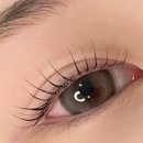 래쉬87 이미지