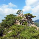 사람사랑산 이미지