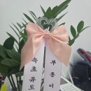 용인대 부흥 유도 체육관 이미지