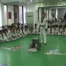 청우태권도장 이미지