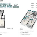 럭키골든스위트 이미지