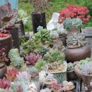 시골 농장 이미지