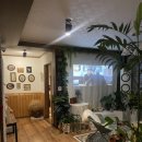 그린카하우스 이미지