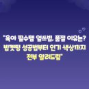 얼쑤 얼쓰 | “육아 필수템 얼쓰빕, 품절 이유는? 빕켓팅 성공법부터 인기 색상까지 전부 알려드림”
