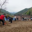 산촌식품 이미지