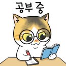 A DVD방
