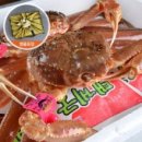 영덕대게 이미지