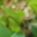 서울미래내과의원 이미지