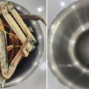 둥둥수산