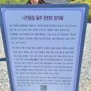 영축산효소 | 통도사 가사불사 회향&amp;산내암자 서운암 죽단화 금낭화 개화소식